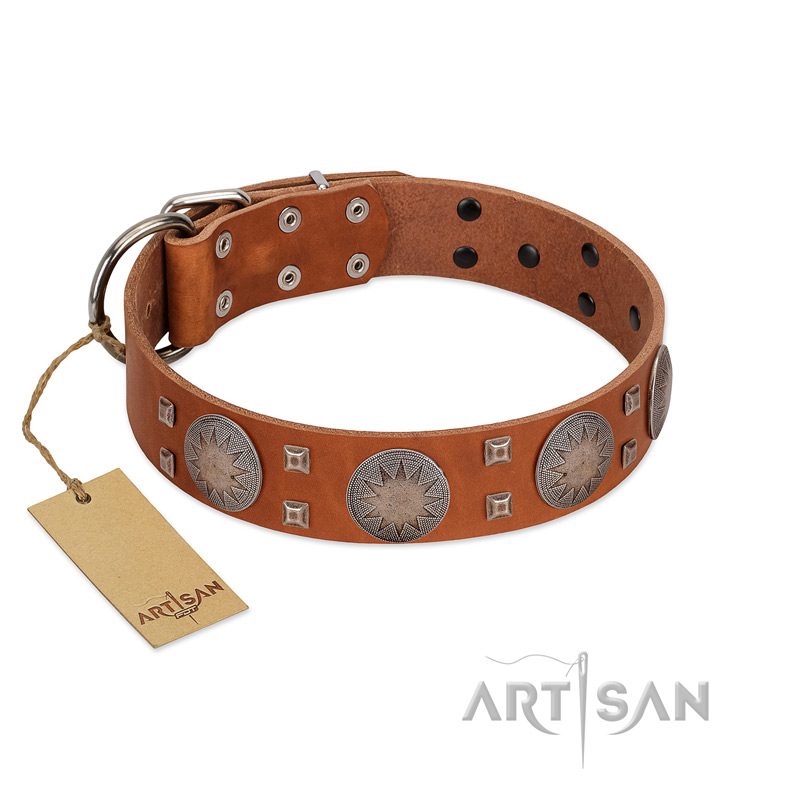 "Sun Rise Noon" FDT Artisan Tan Leather English Bulldog Collar with Unique Design