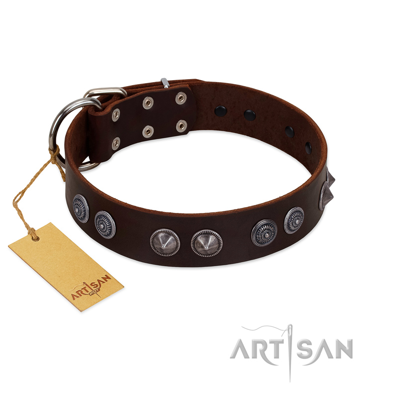 "King Arthur" FDT Artisan Brown Leather English Bulldog Collar with Spiky Plates