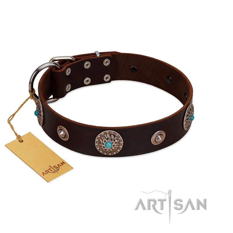 "Magic Stones" FDT Artisan Brown Leather English Bulldog Collar with Chrome Plated Brooches and Studs