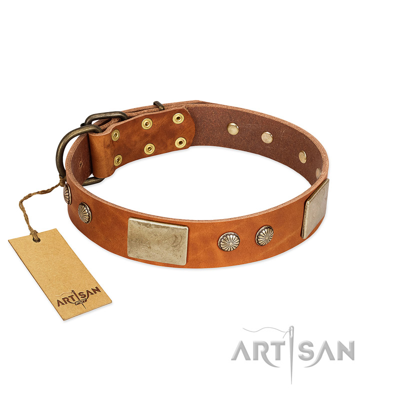 "Ancient Treasures" FDT Artisan Tan Leather English Bulldog Collar with Antiqued Plates and Studs