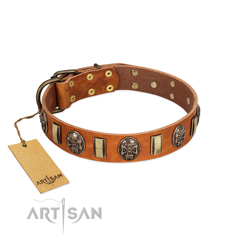 "Strike of Rock" FDT Artisan Tan Leather English Bulldog Collar with Plates and Medallions with Skulls