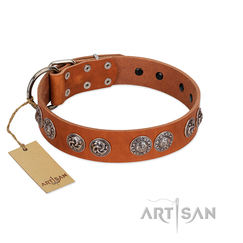 "Woofy Majesty" FDT Artisan Tan Leather English Bulldog Collar with Round Silver-like Plates - Click Image to Close