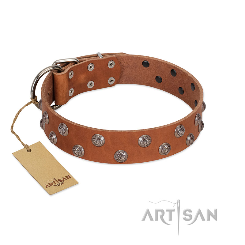 "Waltz of the Flowers" Handmade FDT Artisan Tan Leather English Bulldog Collar with Chrome-plated Engraved Studs