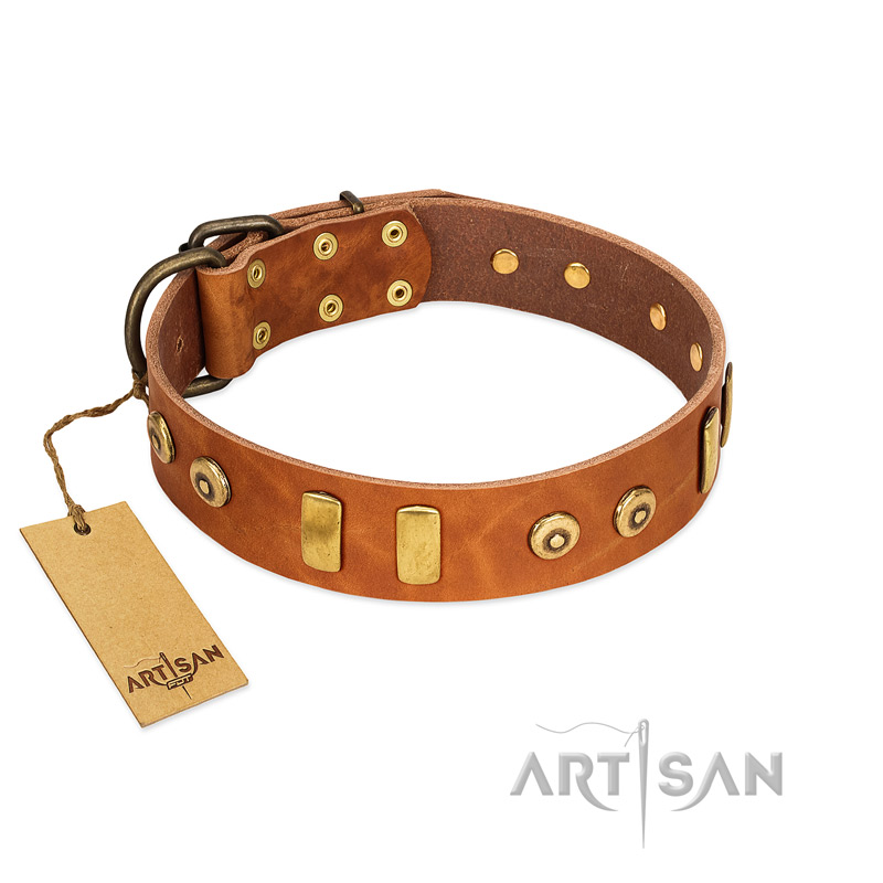 "Egyptian Script" FDT Artisan Tan Leather English Bulldog Collar with Plates and Small Studs