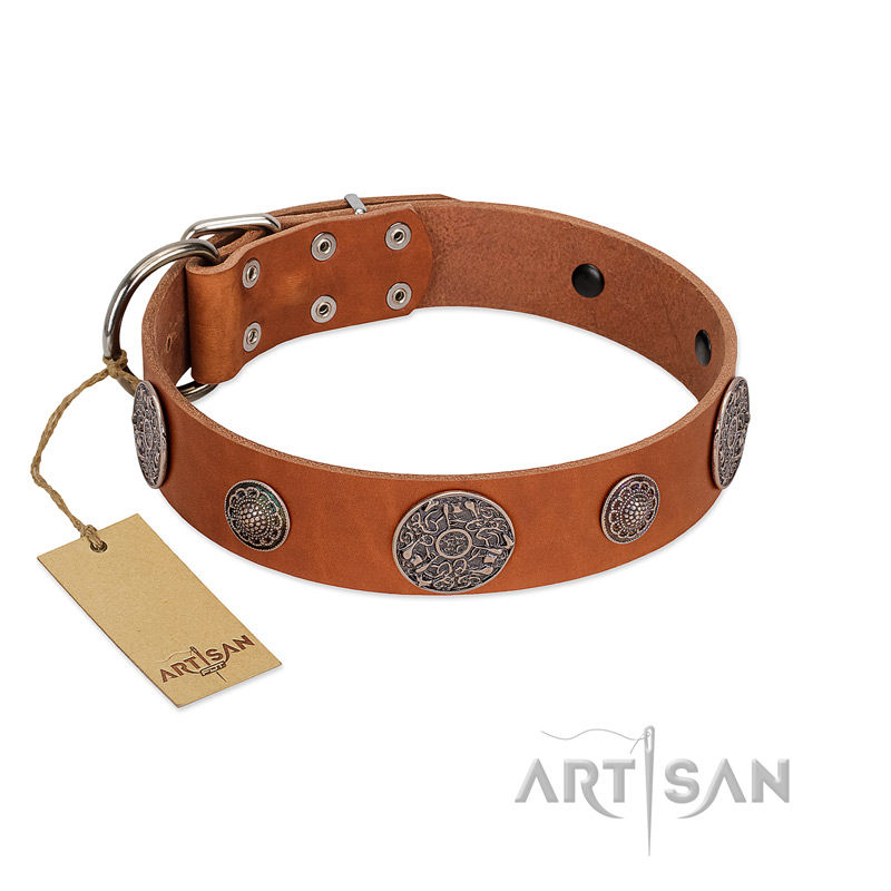 "Foxy Nature" FDT Artisan Tan Leather English Bulldog Collar with Chrome Plated Brooches - Click Image to Close