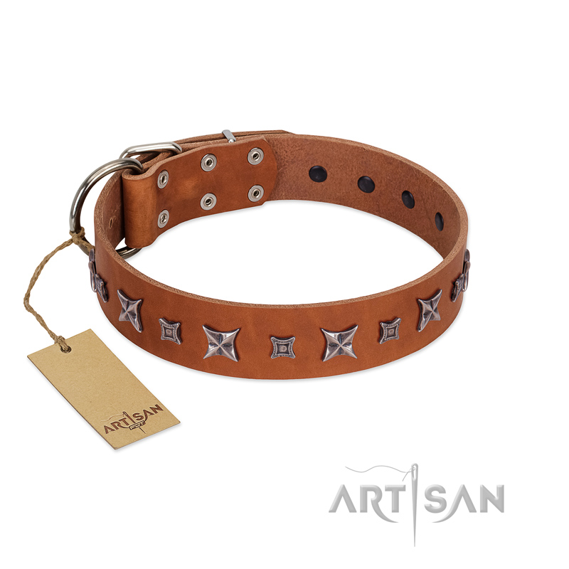 "Star Shine" Exclusive FDT Artisan Tan Leather English Bulldog Collar with Silver-Like Adornments