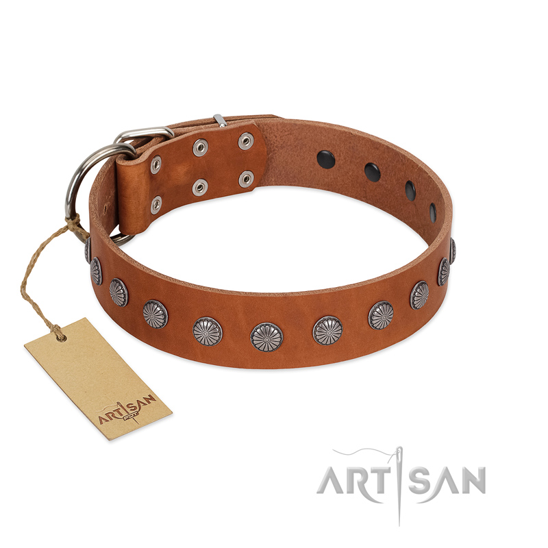 "Little Floret" Fashionable FDT Artisan Tan Leather English Bulldog Collar with Silver-Like Adornments