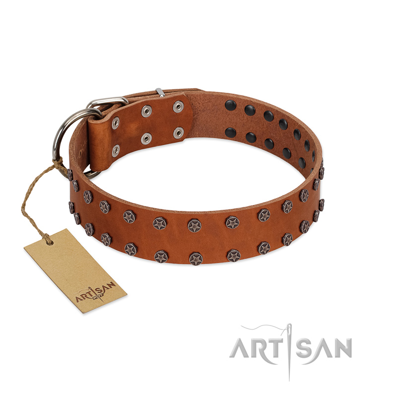 "Star Light" Stylish FDT Artisan Tan Leather English Bulldog Collar with Silver-Like Studs