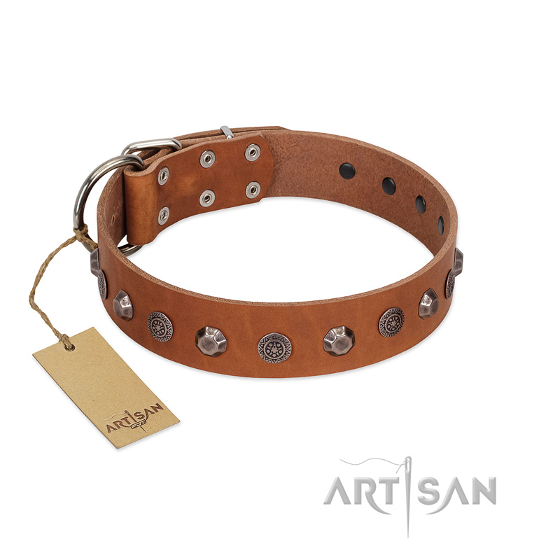 "Silver Age" Fashionable FDT Artisan Tan Leather English Bulldog Collar with Silver-Like Studs