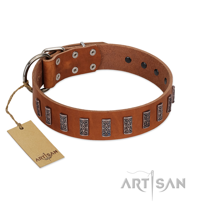 "Silver Century" Fashionable FDT Artisan Tan Leather English Bulldog Collar with Silver-Like Plates