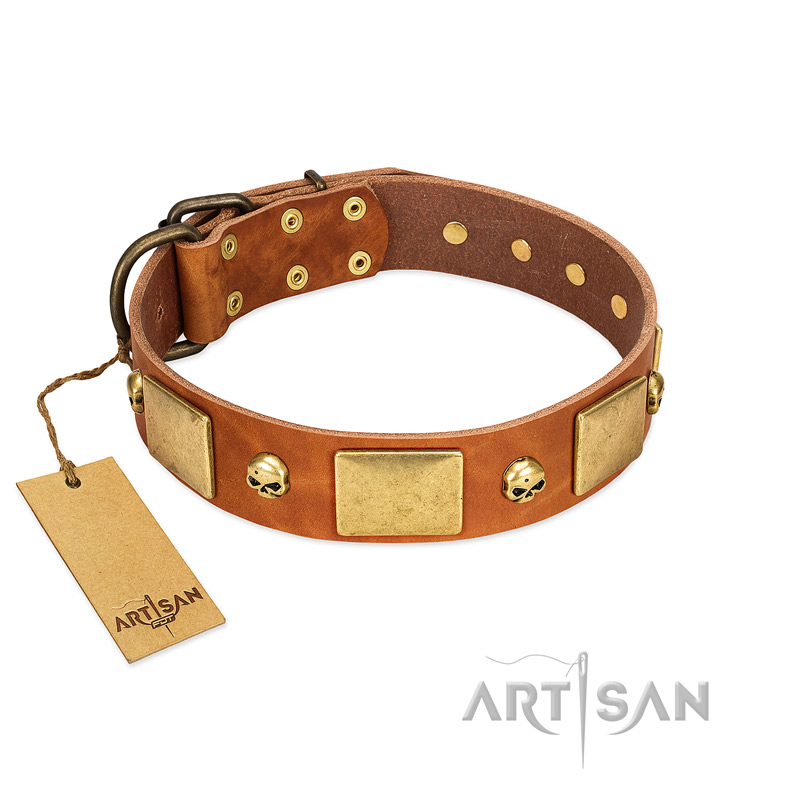 "Mutt The Daredevil" FDT Artisan Tan Leather English Bulldog Collar with Old Bronze-like Skulls and Plates