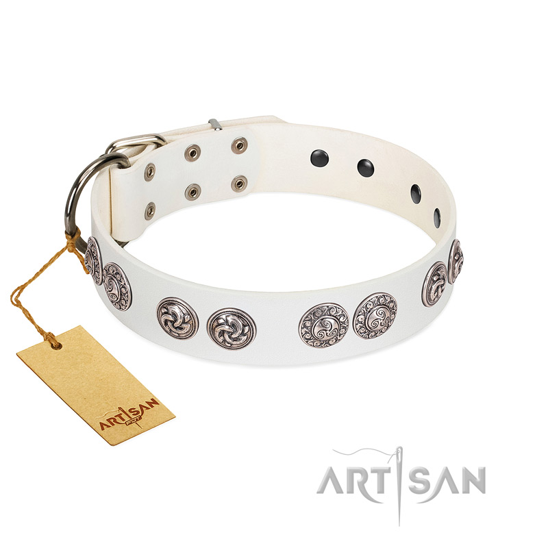 "Eye Candy" Appealing FDT Artisan White Leather English Bulldog Collar with Chrome Plated Medallions