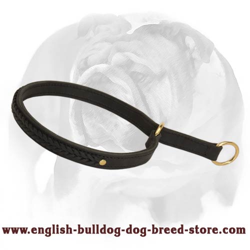 English Bulldog stylish collar