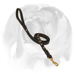 Exquisite dog lead for English Bulldogs