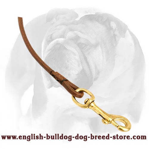 Dow show lead for English Bulldog