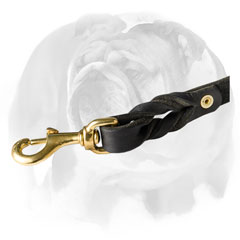 Lead for English Bulldog with brass snap hook 