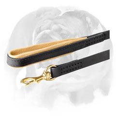 English Bulldog leash with padded handle