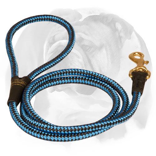 Nylon cord dog leash with rust-resistant parts for English Bulldog