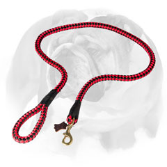 Nylon English Bulldog leash made of water-proof material