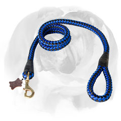 Training nylon leash for English Bulldog