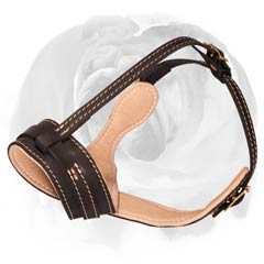 English Bulldog muzzle nappa leather padded